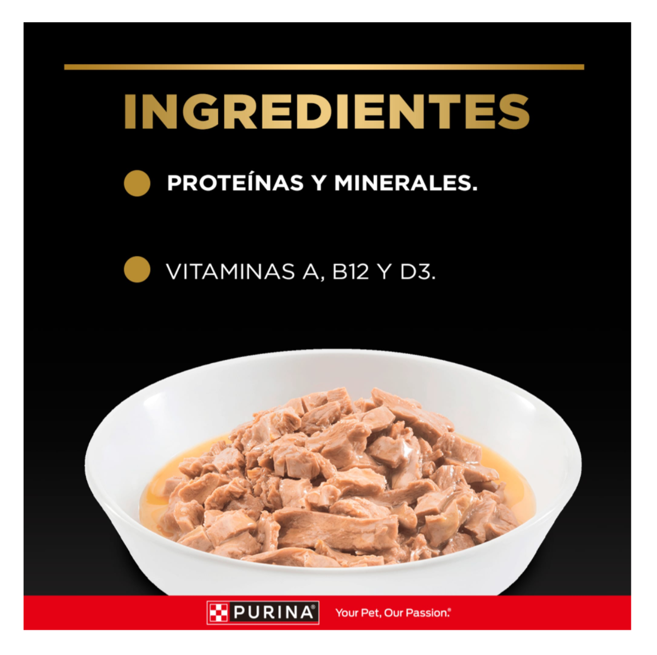 Pro Plan Pouch Kitten - Alimento Húmedo para Gatos