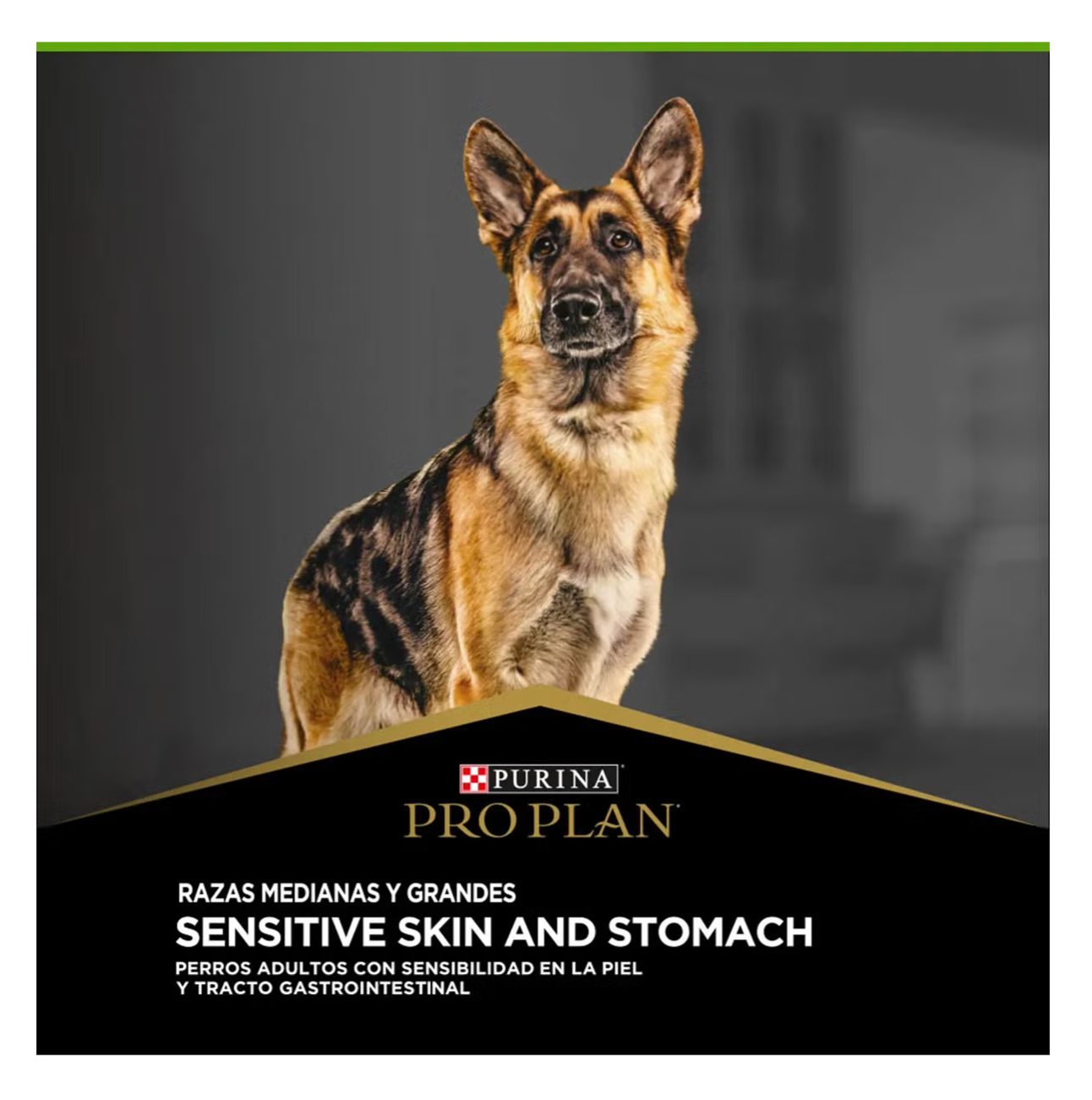 Pro Plan Sensitive Skin and Stomach - Alimento para Perros