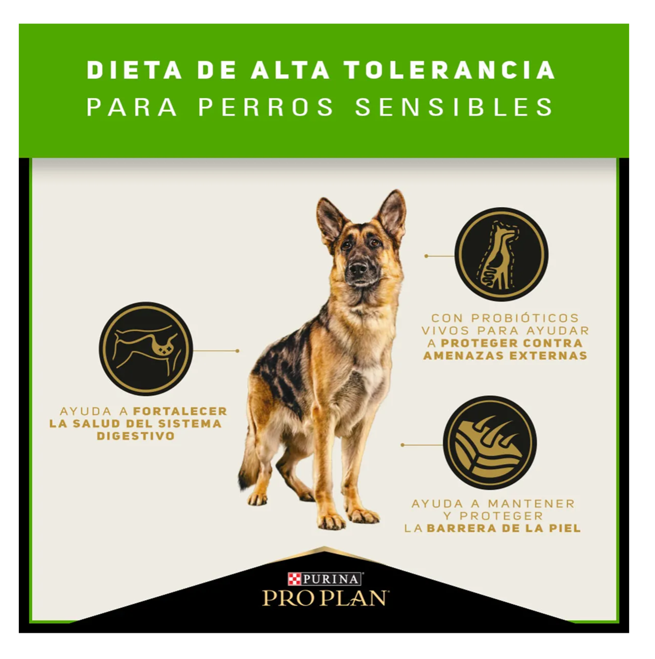 Pro Plan Sensitive Skin and Stomach - Alimento para Perros