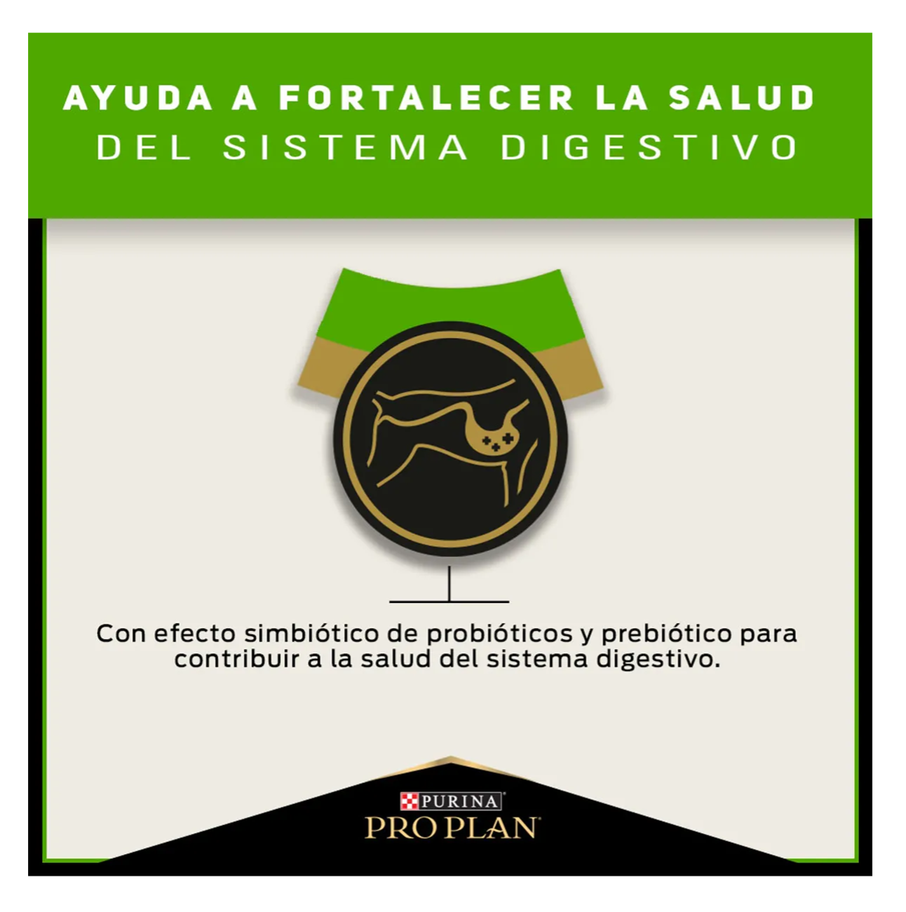 Pro Plan Sensitive Skin and Stomach - Alimento para Perros