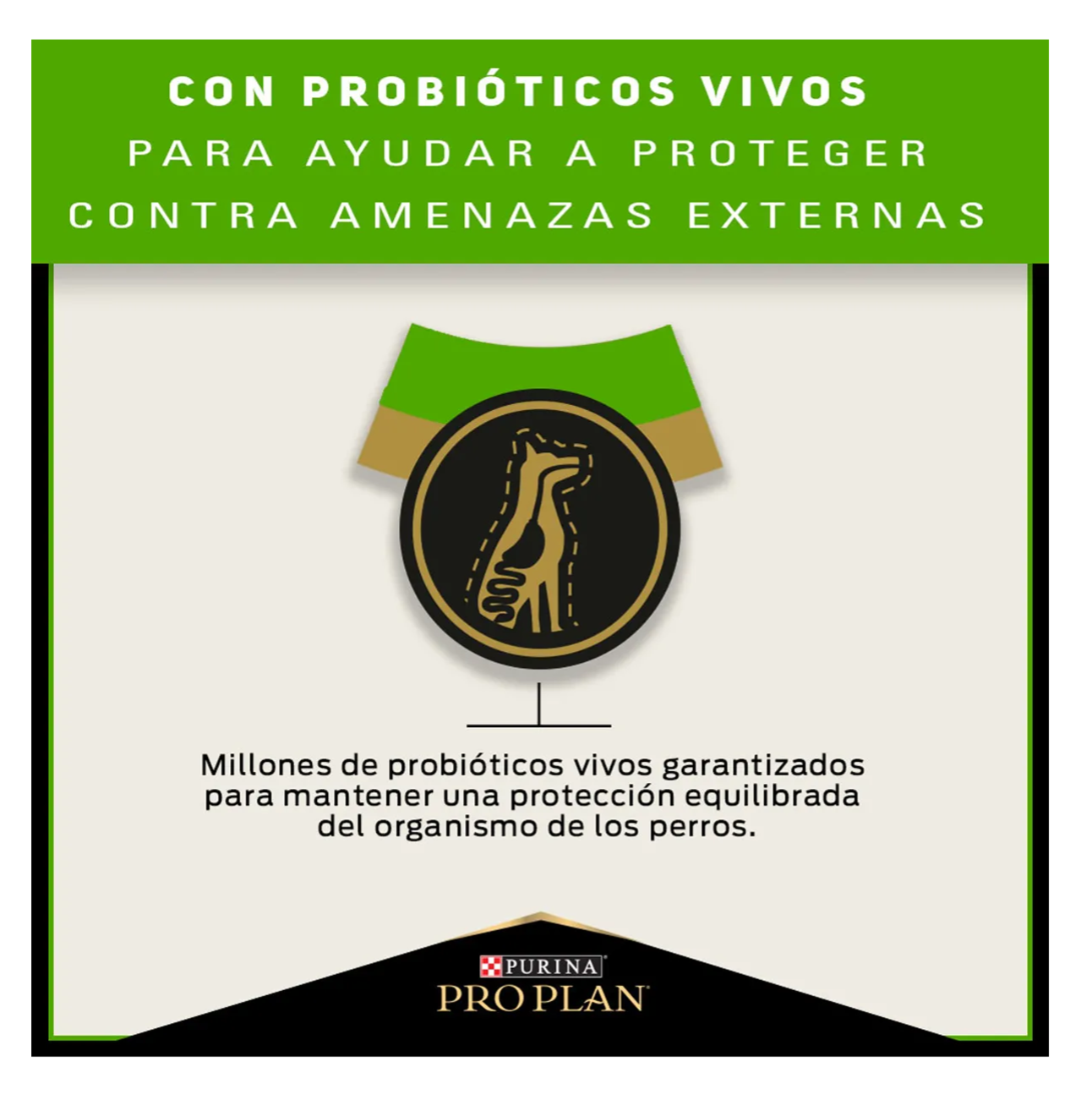 Pro Plan Sensitive Skin and Stomach - Alimento para Perros