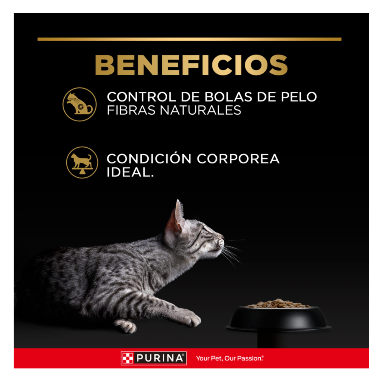 Pro Plan Pouch Cat Sterilized - Alimento Húmedo para Gatos