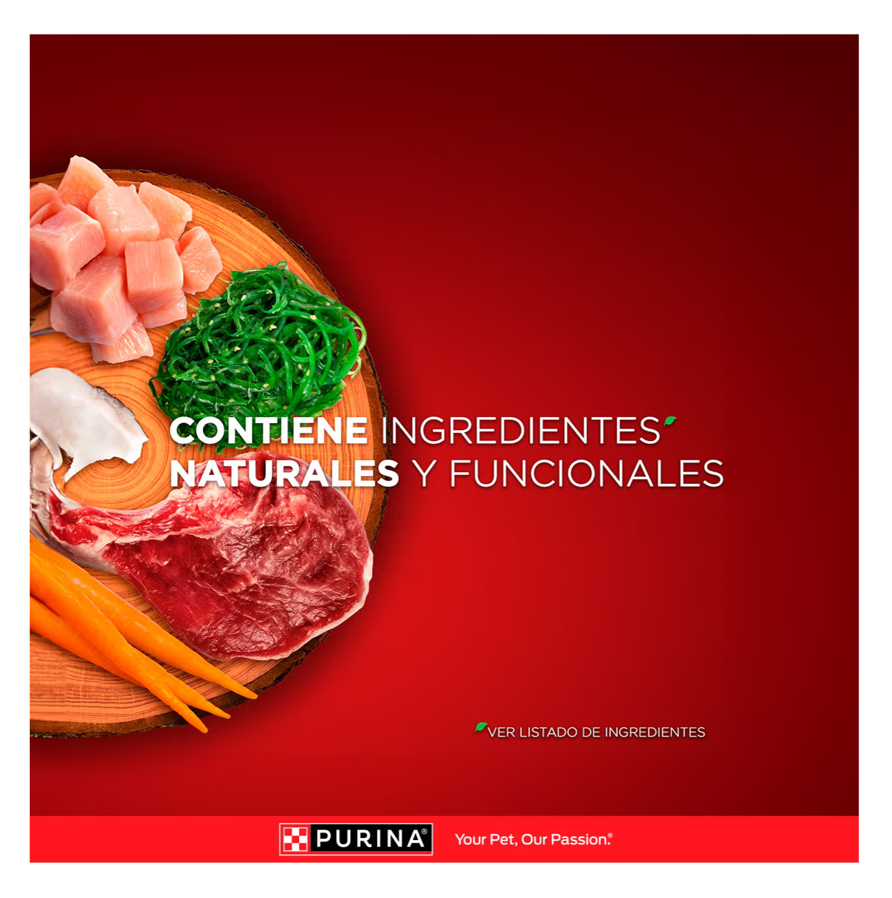 Purina One Adultos Minis y Pequeños Pollo y Salmón - Alimento Perros