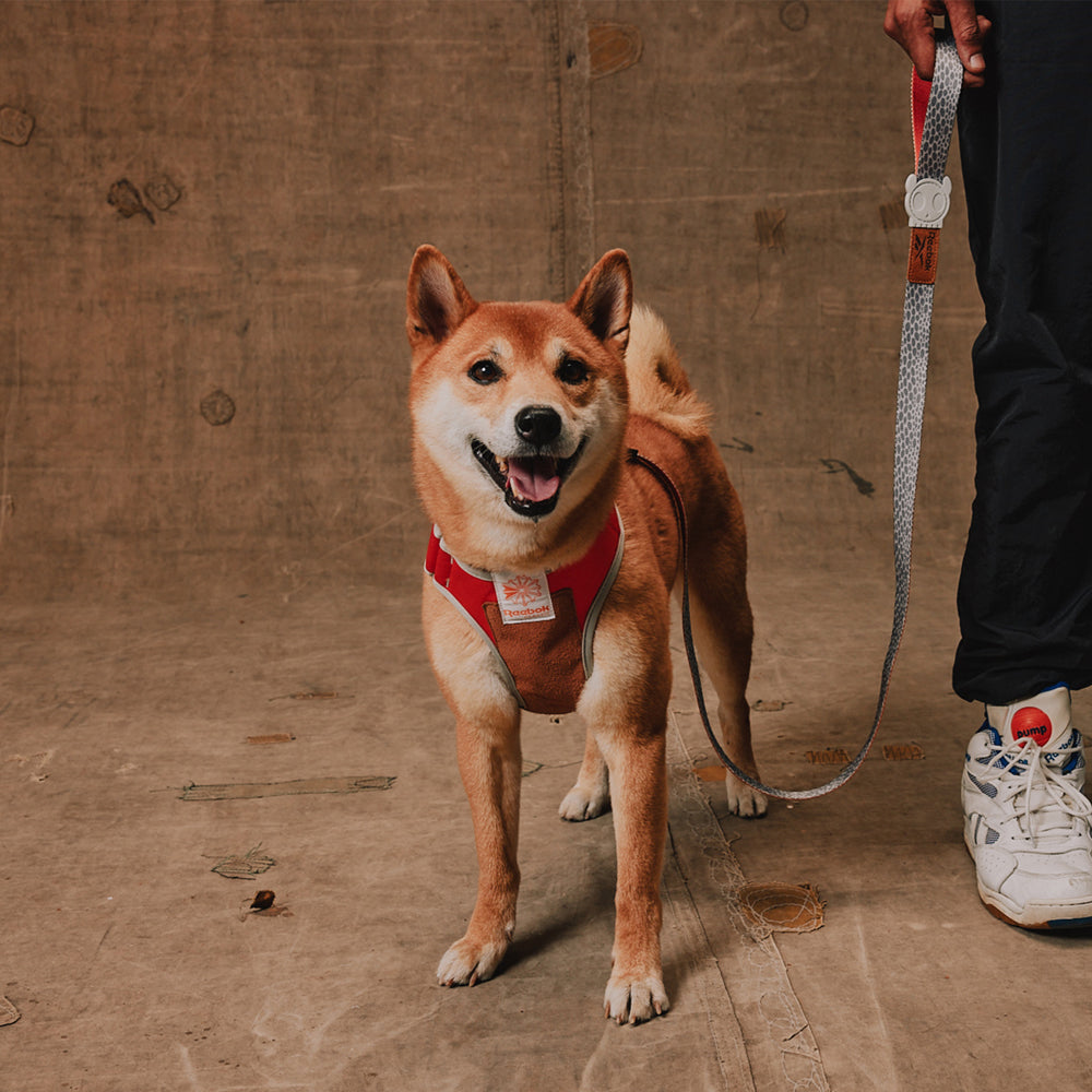Reebok x Zee.Dog Adjustable Air Mesh Harness Suede - Arnés para Perros