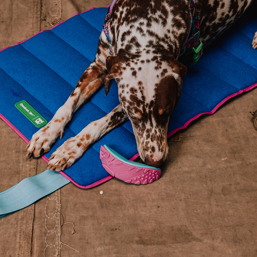 Reebok x Zee.Dog Boomerang Toy - Juguetes para Perros