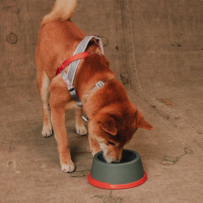 Reebok x Zee.Dog Bowl Suede - Comederos para Perros