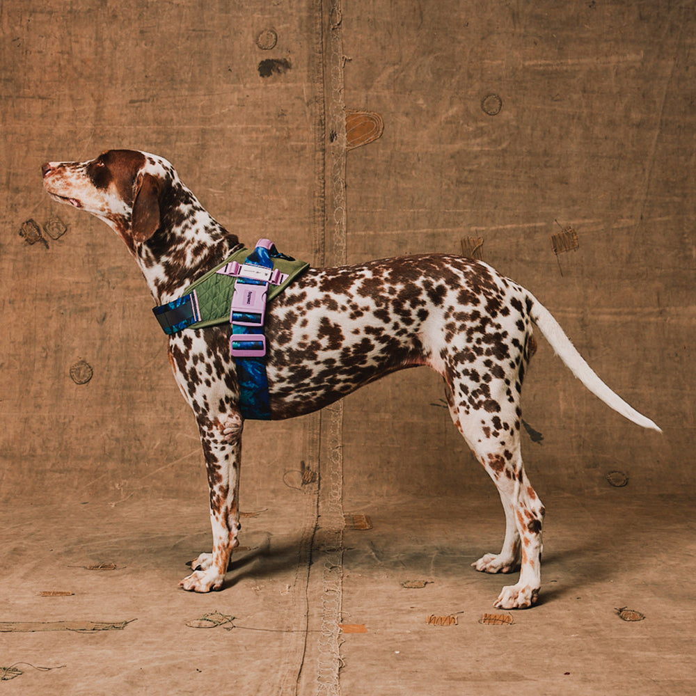 Reebok x Zee.Dog FlyHarness Trekk - Arnés para Perros