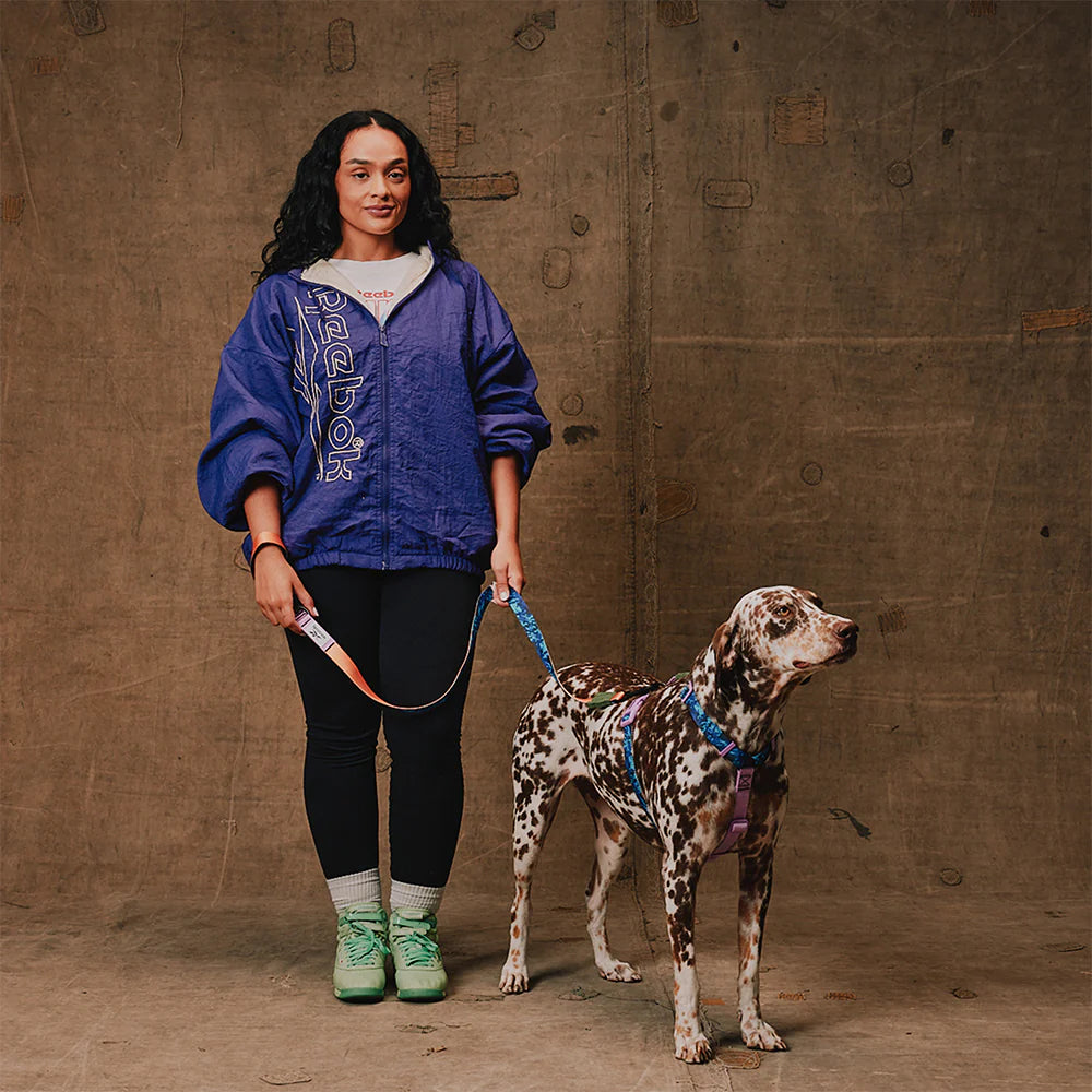 Reebok x Zee.Dog H Harness Trekk - Arnés para Perros