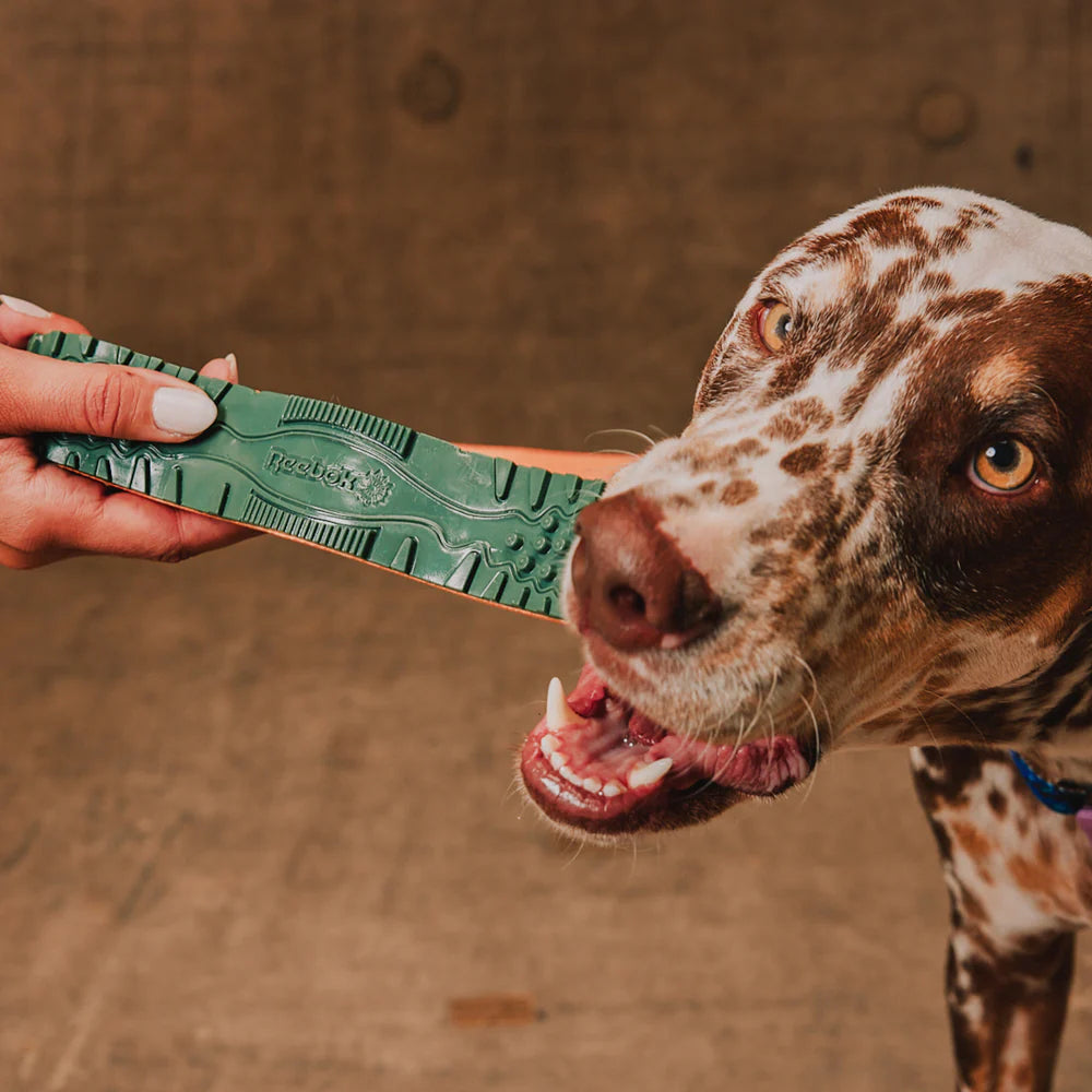 Reebok x Zee.Dog Twig Toy - Juguetes para Perros