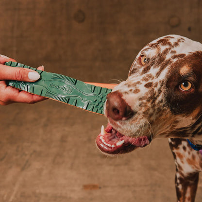 Reebok x Zee.Dog Twig Toy - Juguetes para Perros