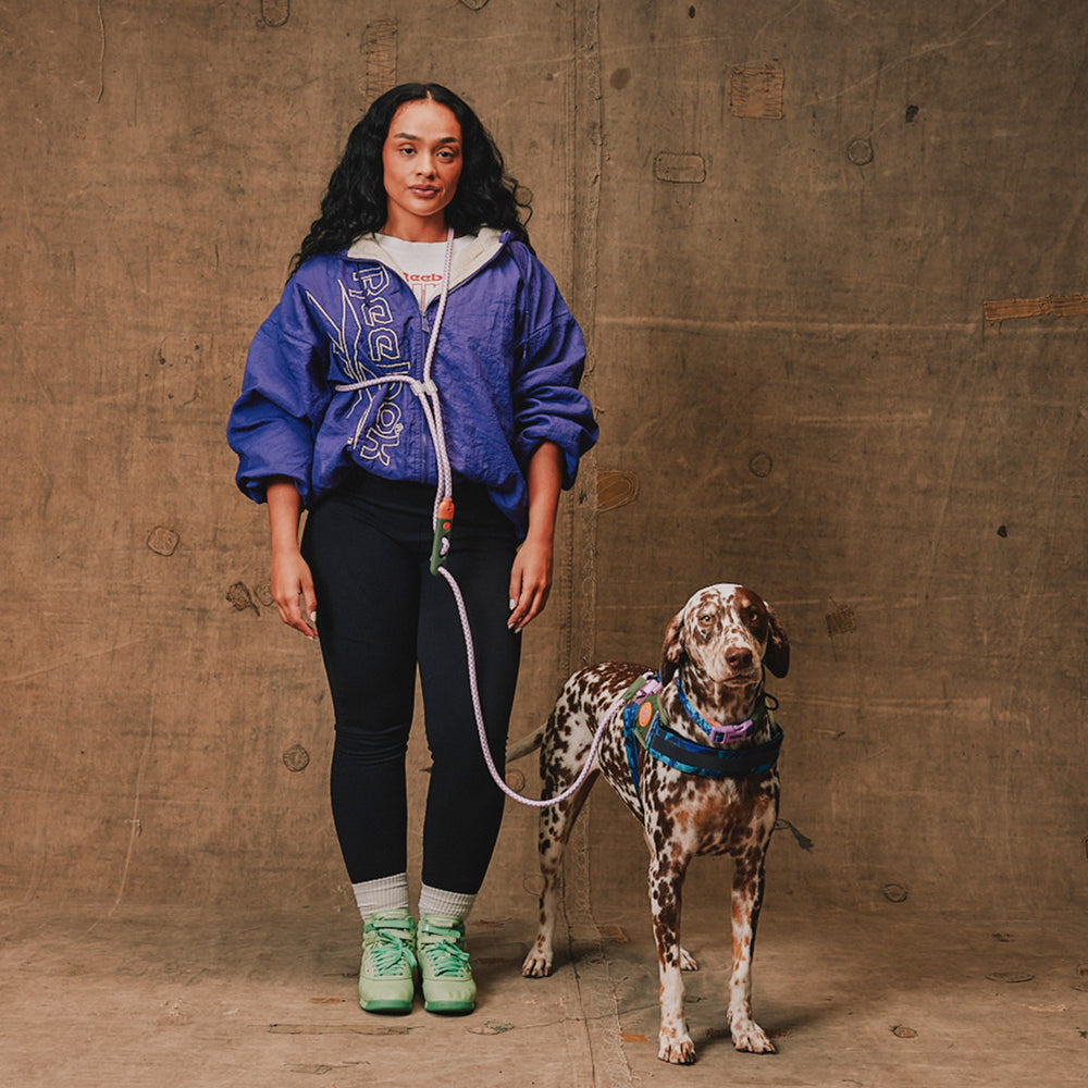 Reebok x Zeedog Hands-Free Leash Trekk - Correas para Perros