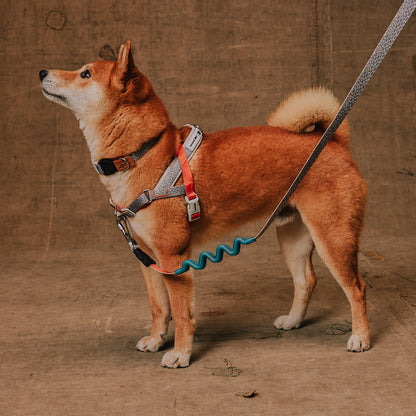 Reebok x Zee.Dog Softer Walk Harness Suede - Arnés para Perro