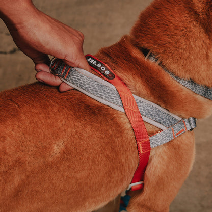 Reebok x Zee.Dog Softer Walk Harness Suede - Arnés para Perro