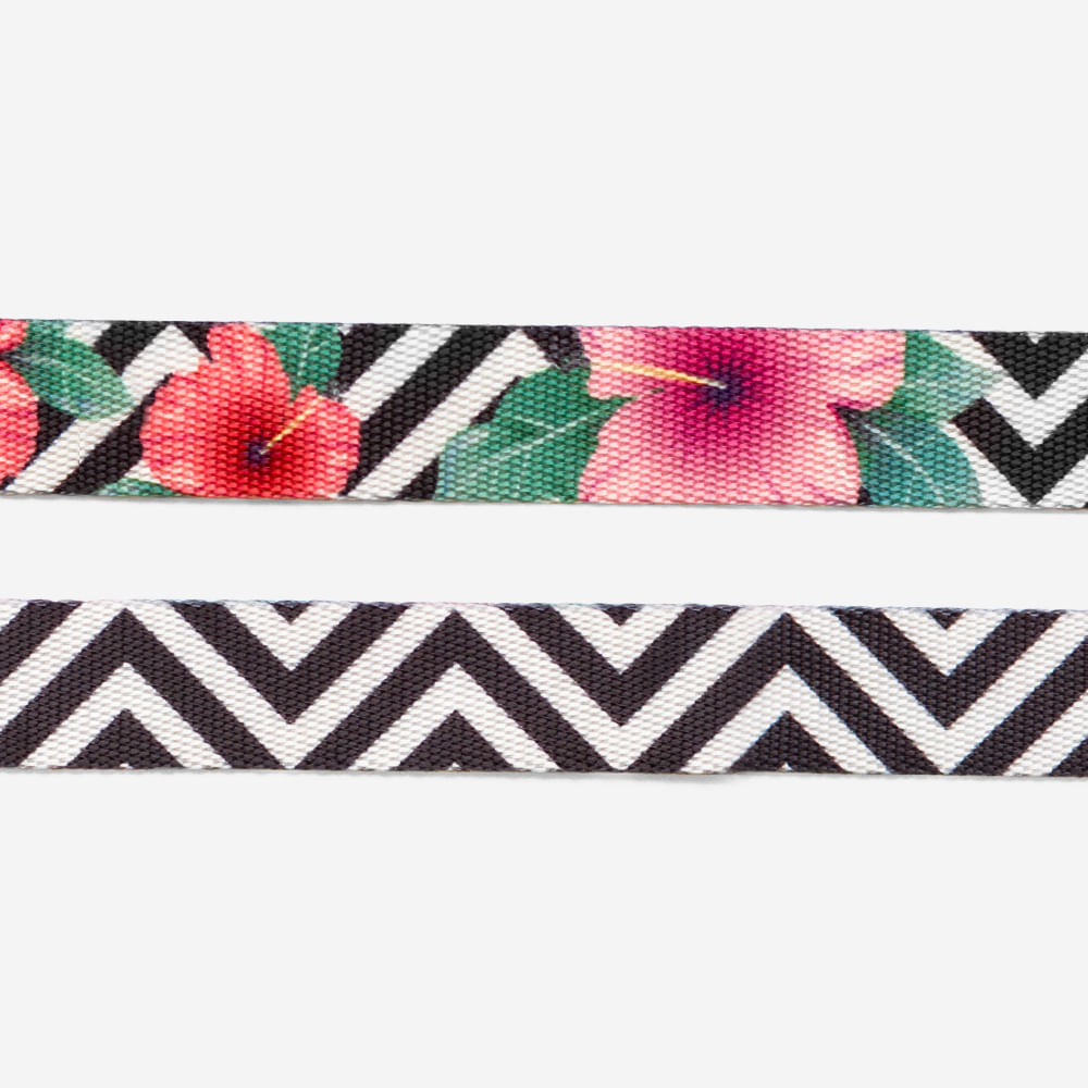 Zee.Cat Collar Mahalo - Collares para Gatos