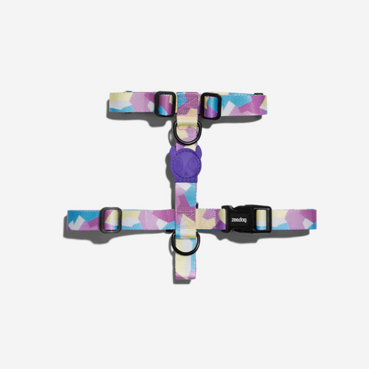 Zee.Dog H Harness Candy - Arnés para Perros