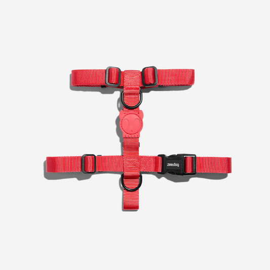 Zee.Dog H Harness Neon Coral - Arnés para Perros
