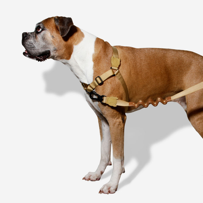 Zee.Dog Soft-Walk Harness Sand - Arnés para Perros