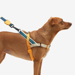 Zee.Dog Softer Walk Harness Voyage - Arnés para Perros