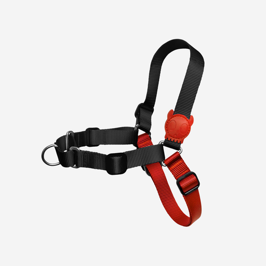 Zee.Dog Zee.Dog Soft-Walk Harness Fatboy - Arnés para Perros