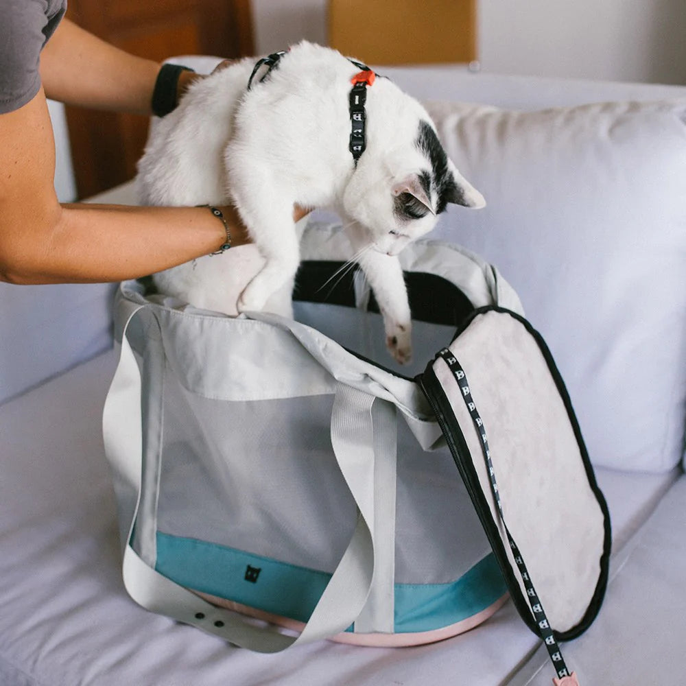 Zee.Cat Carrier Bag Kombucha - Cargador para Gatos