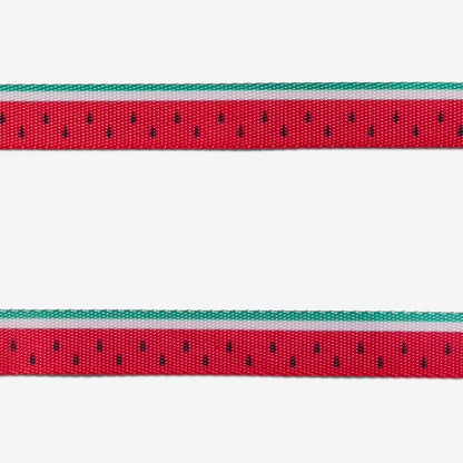Zee.Cat Harness with Leash Lola - Arnés para Gatos
