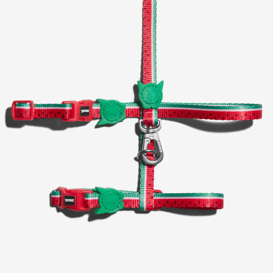 Zee.Cat Harness with Leash Lola - Arnés para Gatos