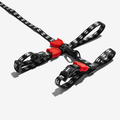 Zee.Cat Harness with Leash Skull - Arnés para Gatos