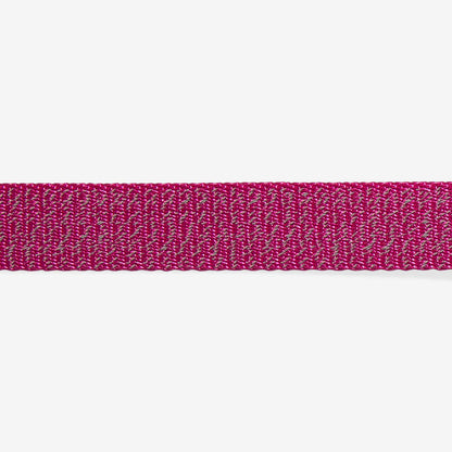 Zee.Dog Collar NOX Sidus - Collares para Perros