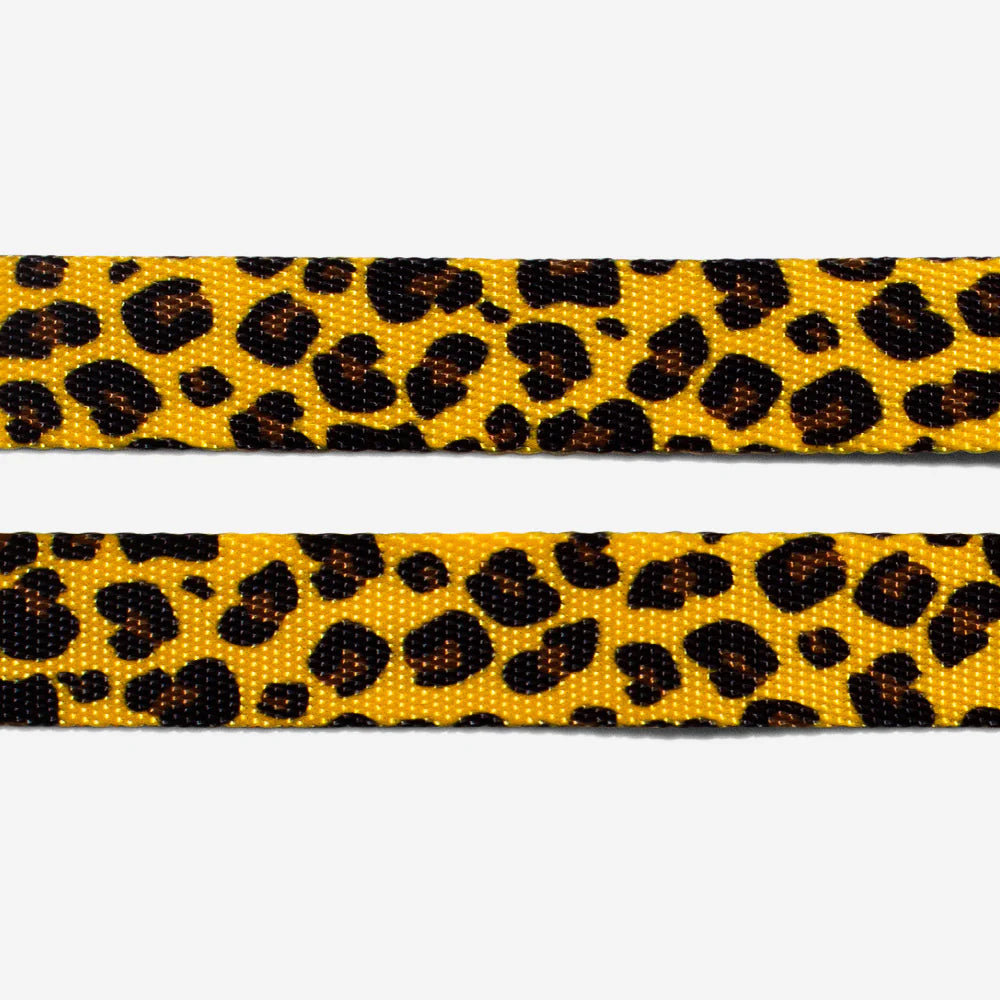 Zee.Dog H Harness Honey - Arnés para Perros