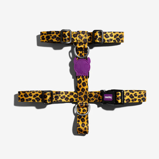 Zee.Dog H Harness Honey - Arnés para Perros