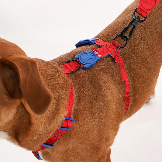Zee.Dog H Harness Spiderman - Arnés para Perros