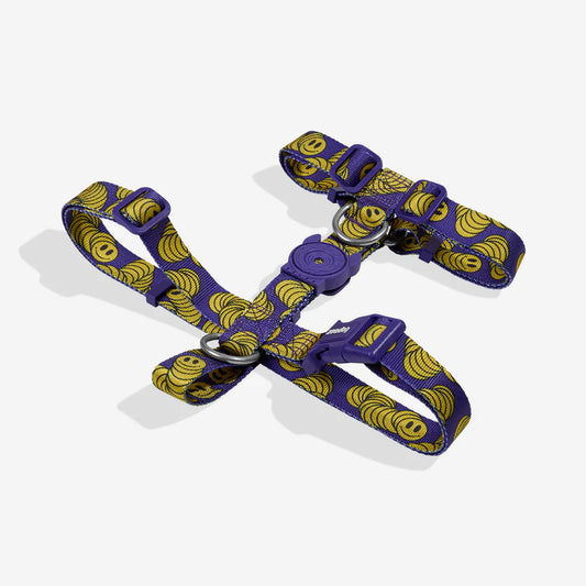 Zee.Dog H Harness Zmiley - Arnés para Perros