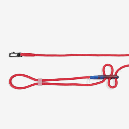 Zee.Dog Hands-Free Leash Spiderman - Correas para Perros