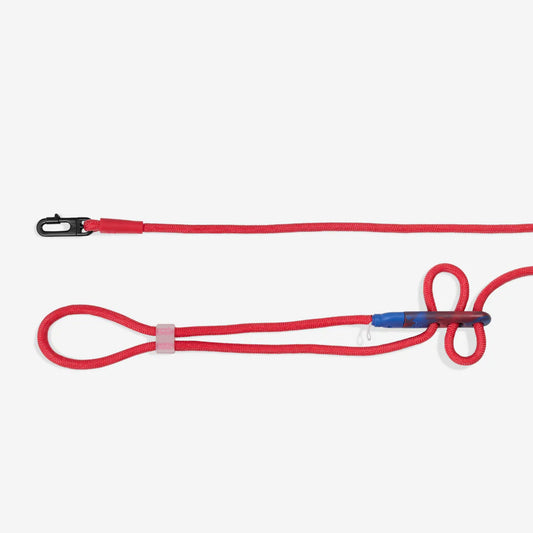 Zee.Dog Hands-Free Leash Spiderman - Correas para Perros