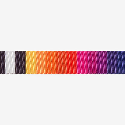 Zee.Dog Leash Prisma - Correas para Perros