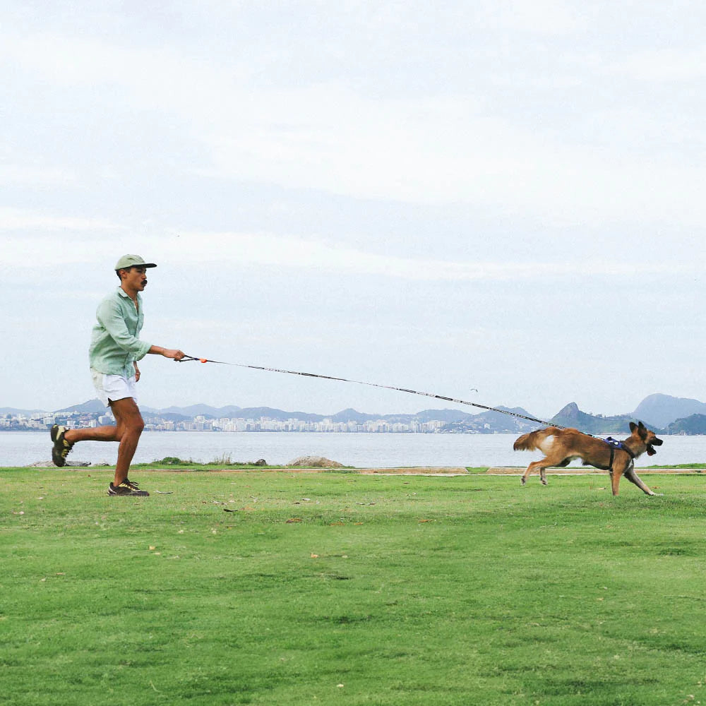 Zee.Dog Long Leash Leopard - Correas para Perros