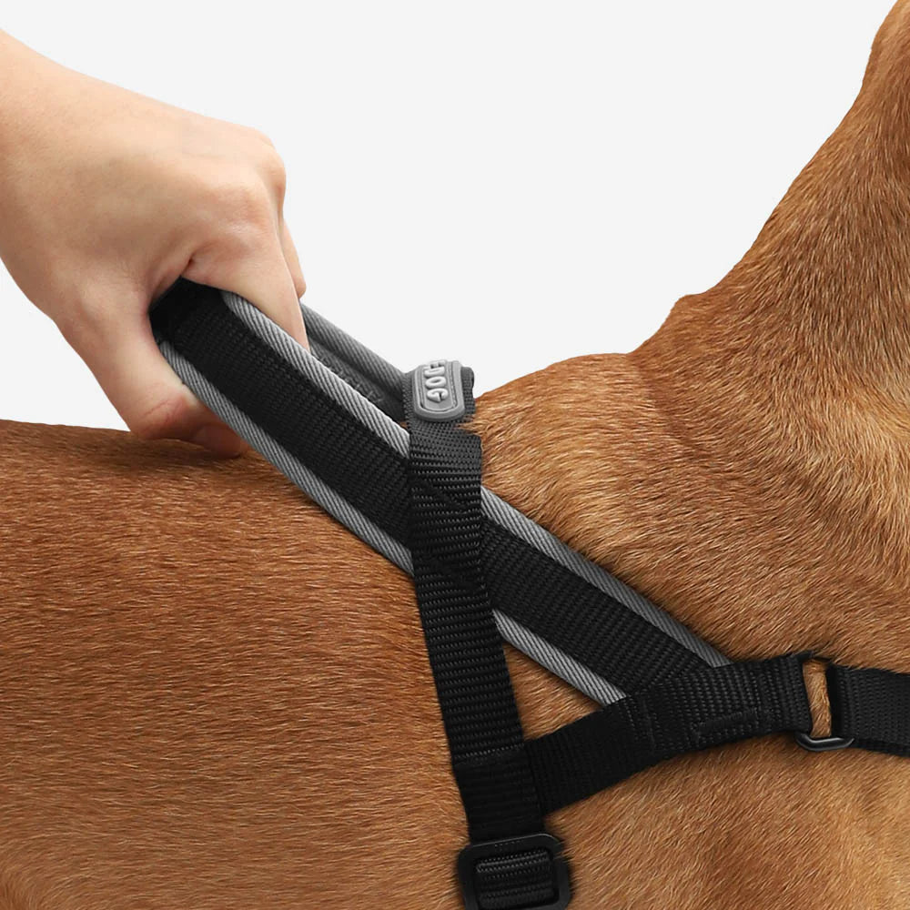 Zee.Dog Softer Walk Harness Gotham - Arnés para Perros