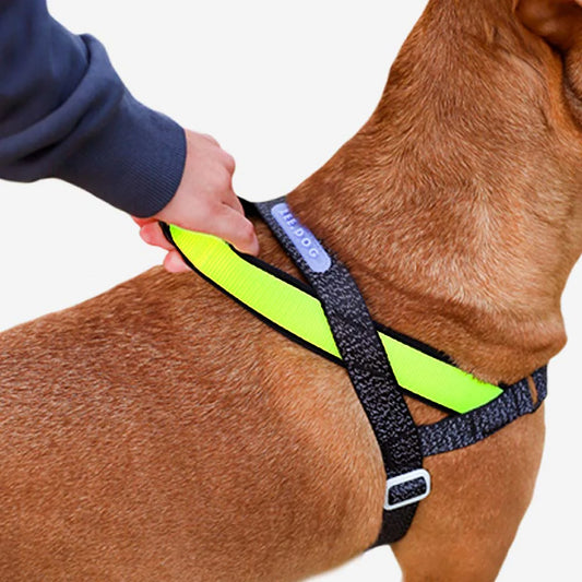 Zee.Dog Softer Walk Harness NOX - Arnés para Perros