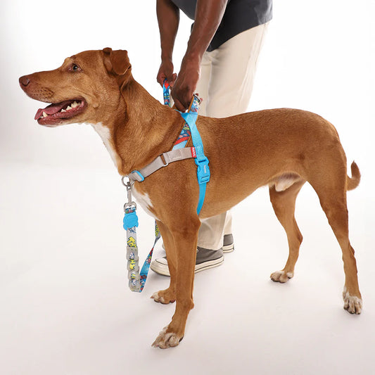 Zee.Dog Softer Walk Harness Thor - Arnés para Perros
