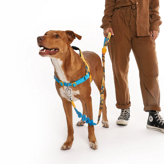 Zee.Dog Softer Walk Harness Wolverine - Arnés para Perros