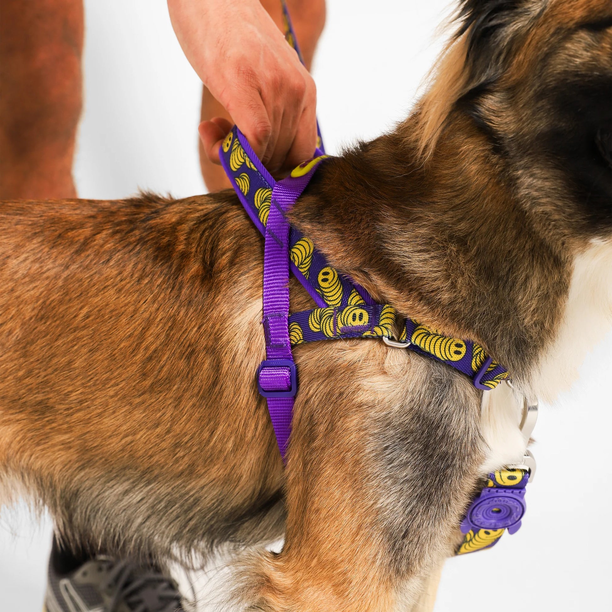 Zee.Dog Softer Walk Harness Zmiley - Arnés para Perros