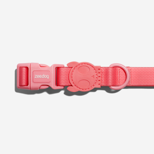 Zee.Dog Collar NeoPro Bubblegum - Collares para Perros