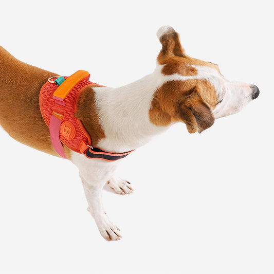 Zee.Dog FlyHarness Gazelle - Arnés para Perros
