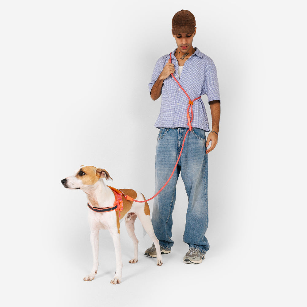 Zee.Dog Hands-Free Leash Gazelle - Correas para Perros