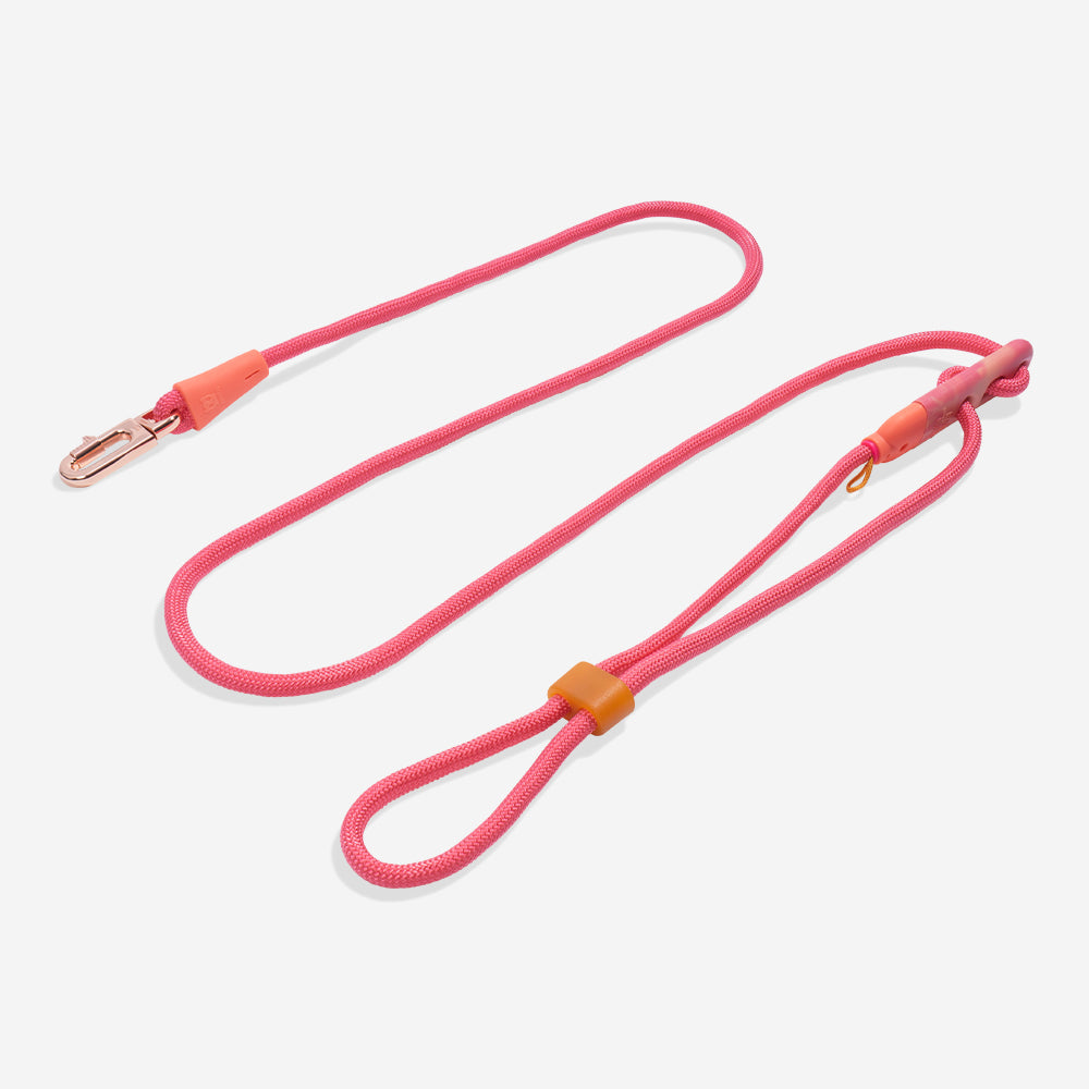 Zee.Dog Hands-Free Leash Gazelle - Correas para Perros