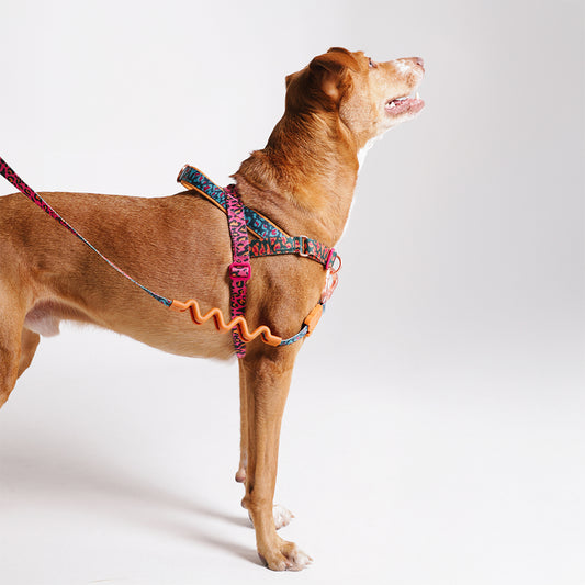 Zee.Dog Softer Walk Harness FARM Rio Selva - Arnés para Perros