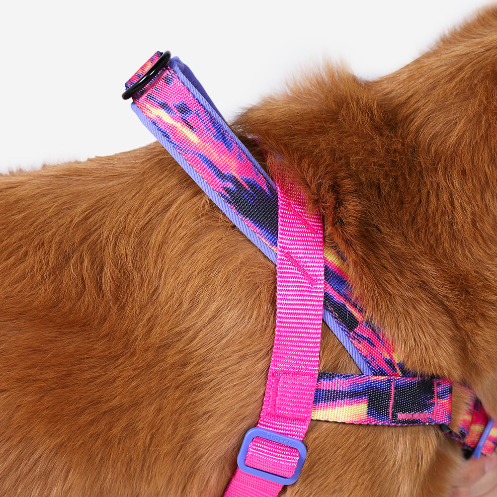 Zee.Dog Softer Walk Harness Glitch Error #500 - Arnés para Perros