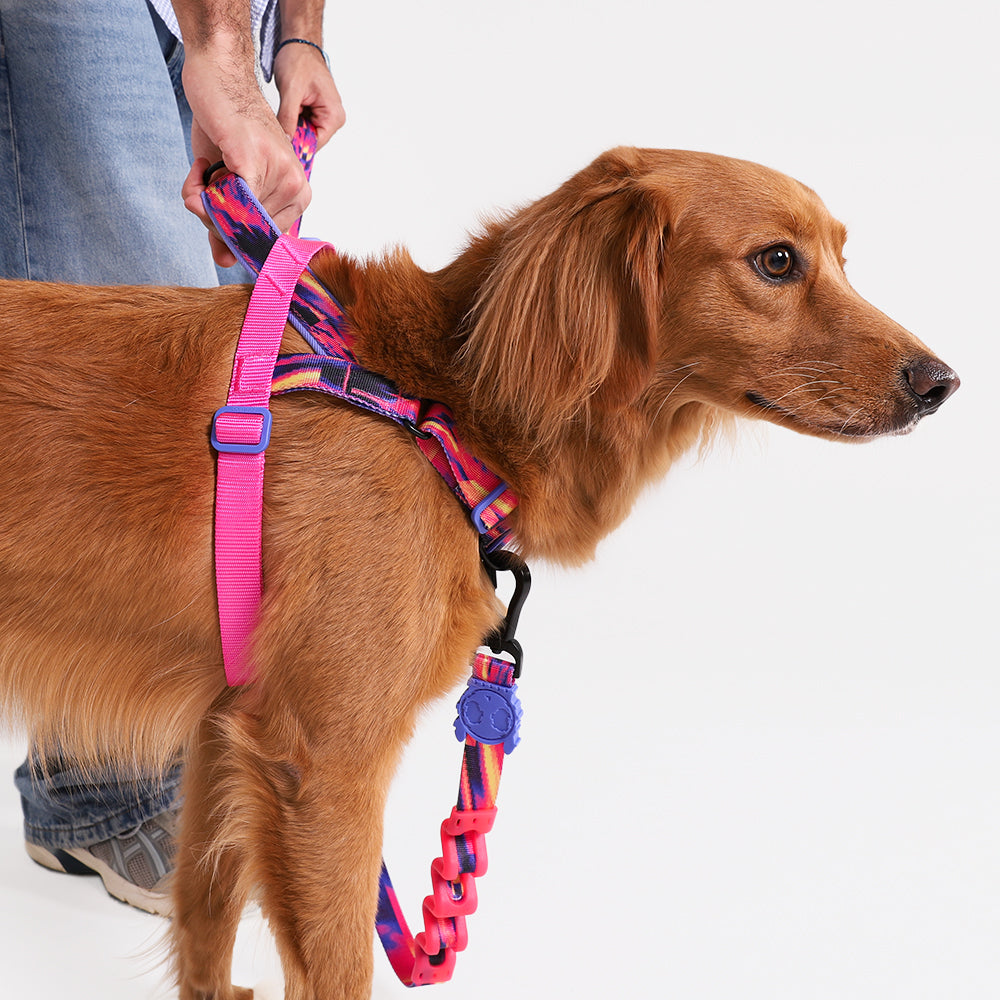 Zee.Dog Softer Walk Harness Glitch Error #500 - Arnés para Perros