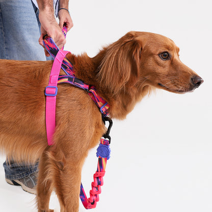 Zee.Dog Softer Walk Harness Glitch Error #500 - Arnés para Perros