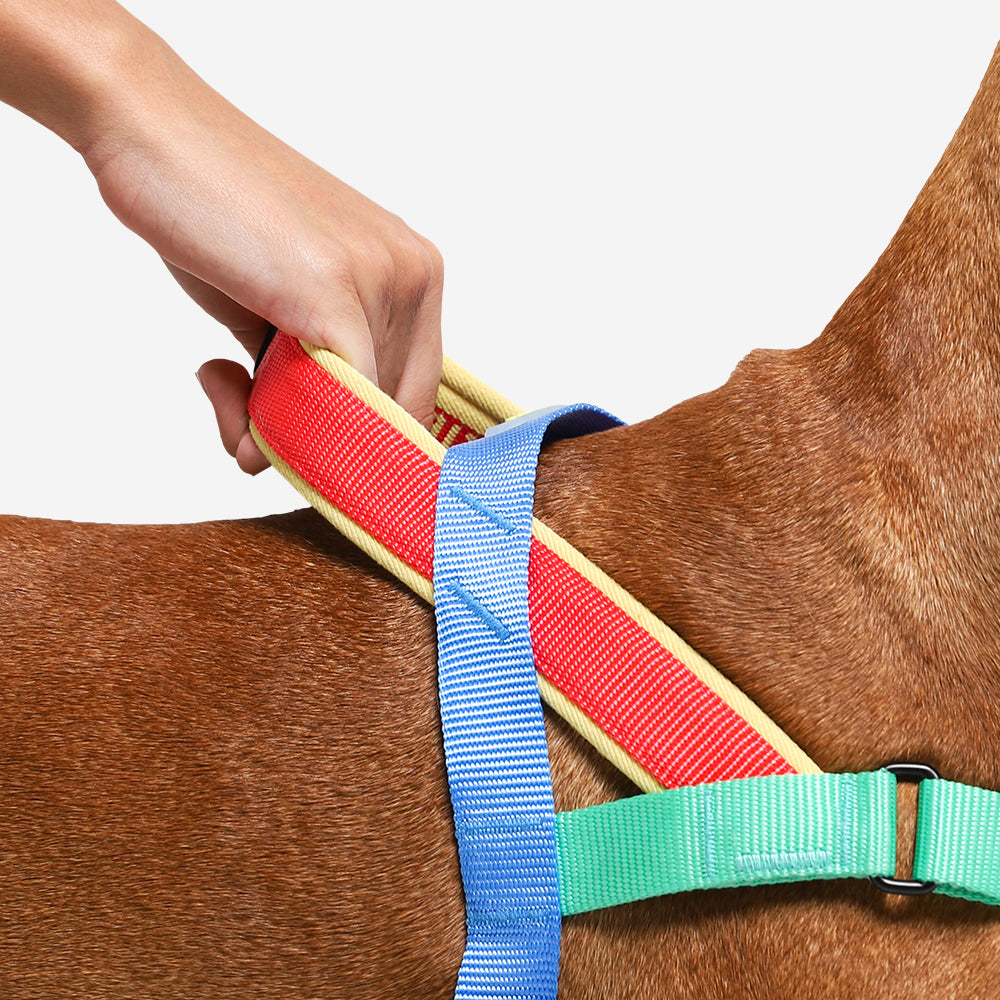 Zee.Dog Softer Walk Harness Mellow - Arnés para Perros